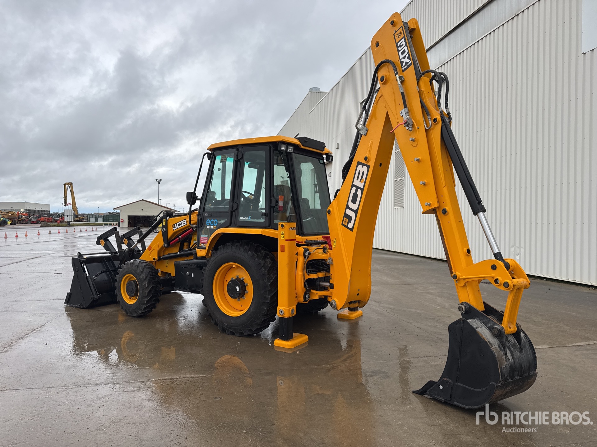 General Appearance with 