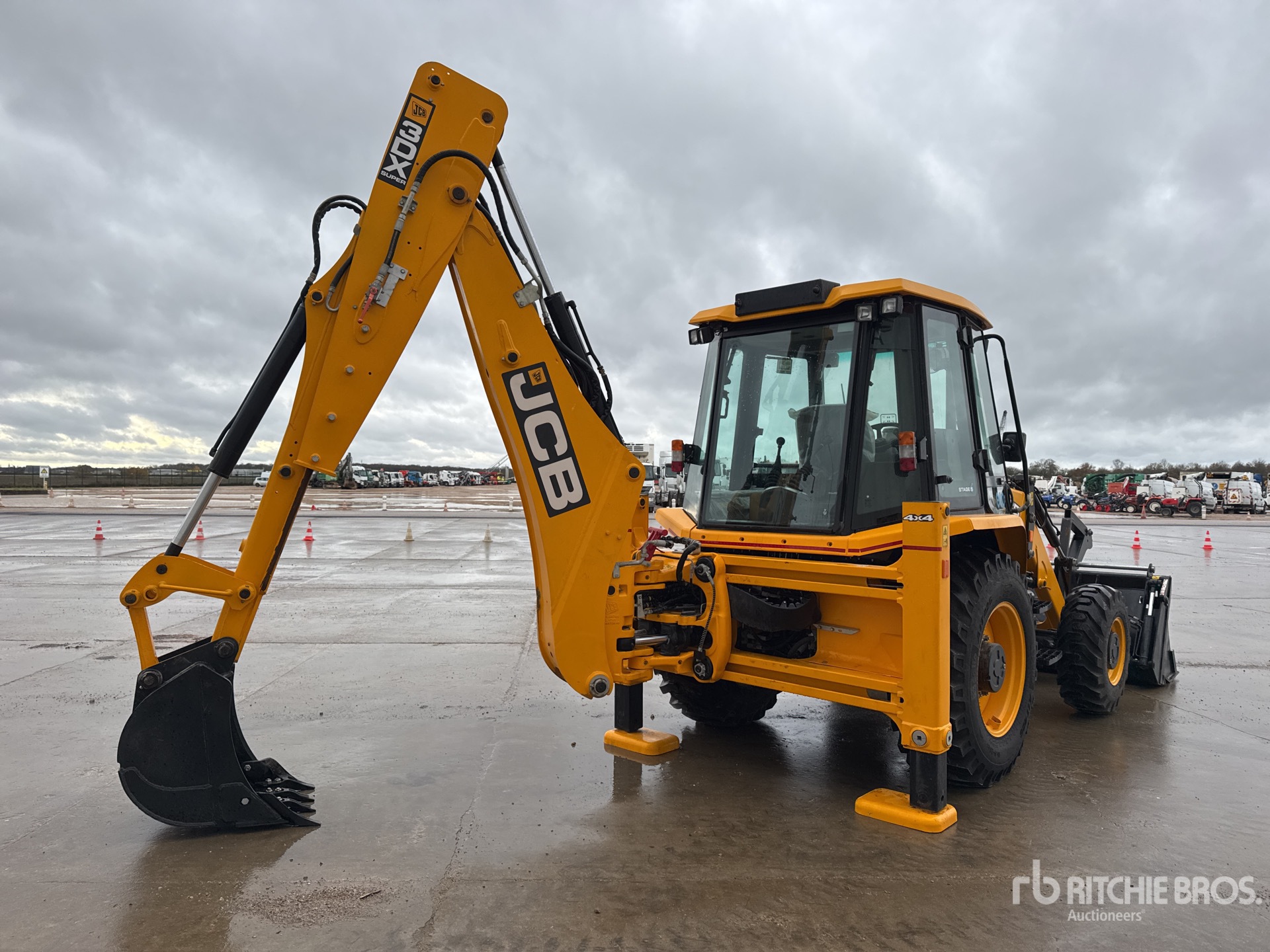 General Appearance with 