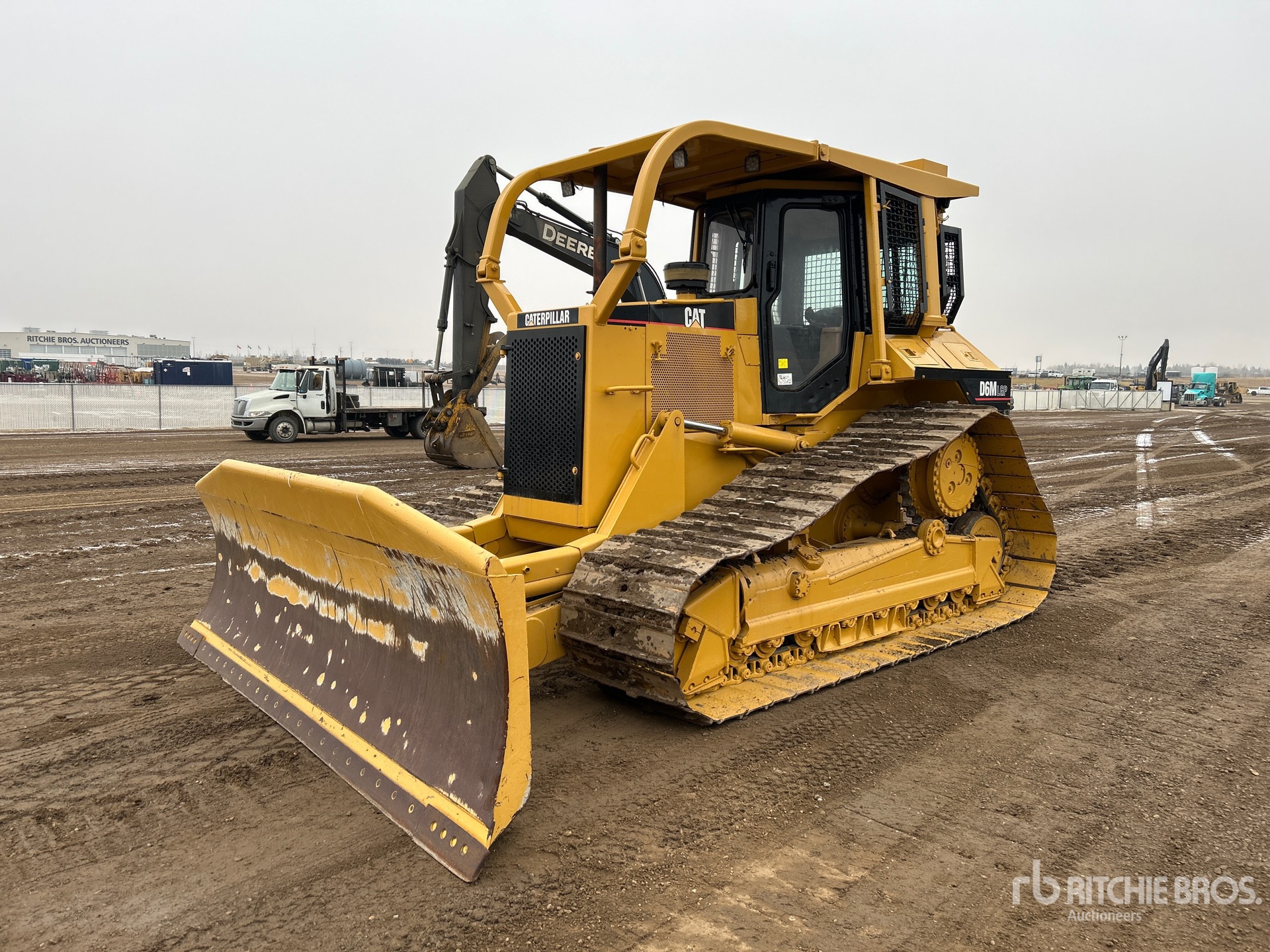 General Appearance with Spin