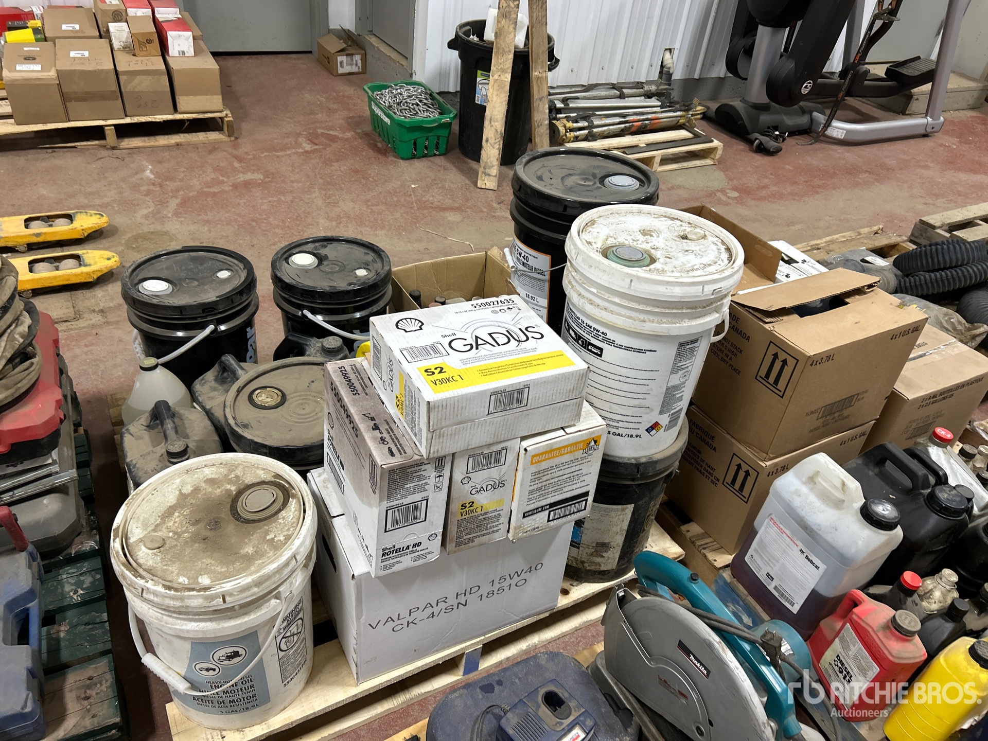 General Appearance with