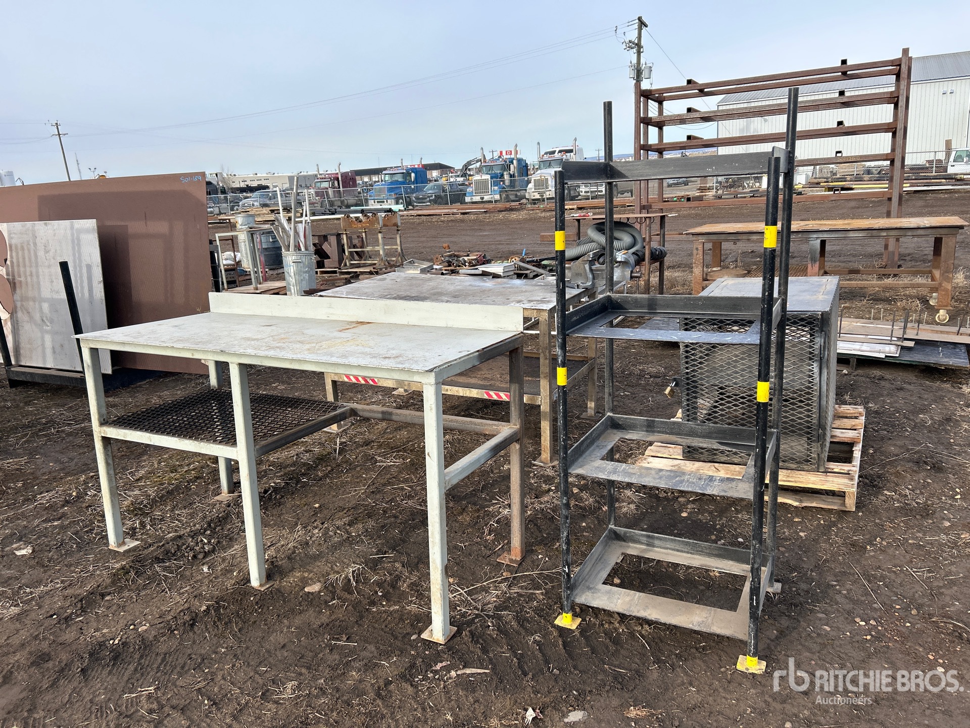 General Appearance with