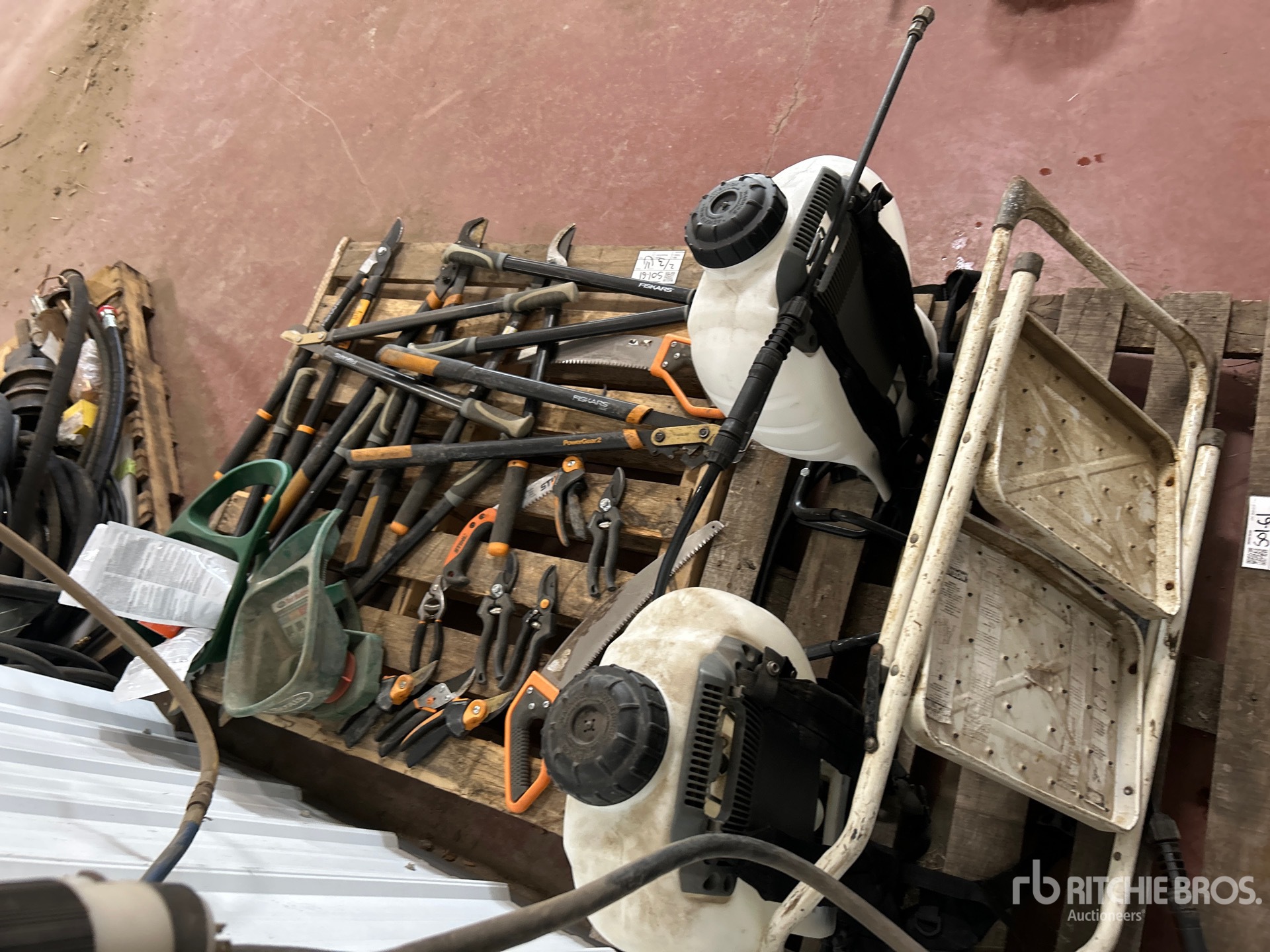 General Appearance with 