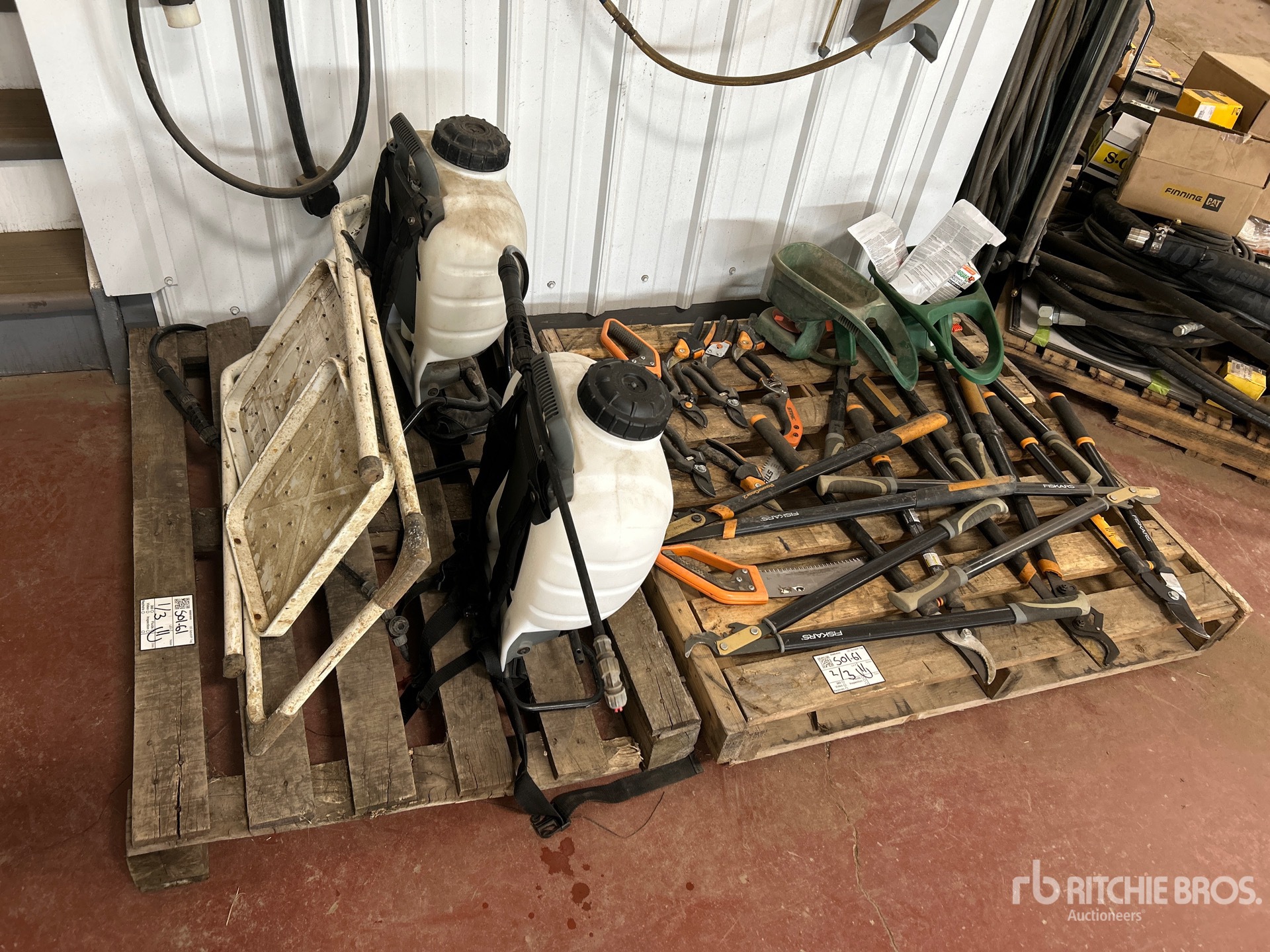 General Appearance with 