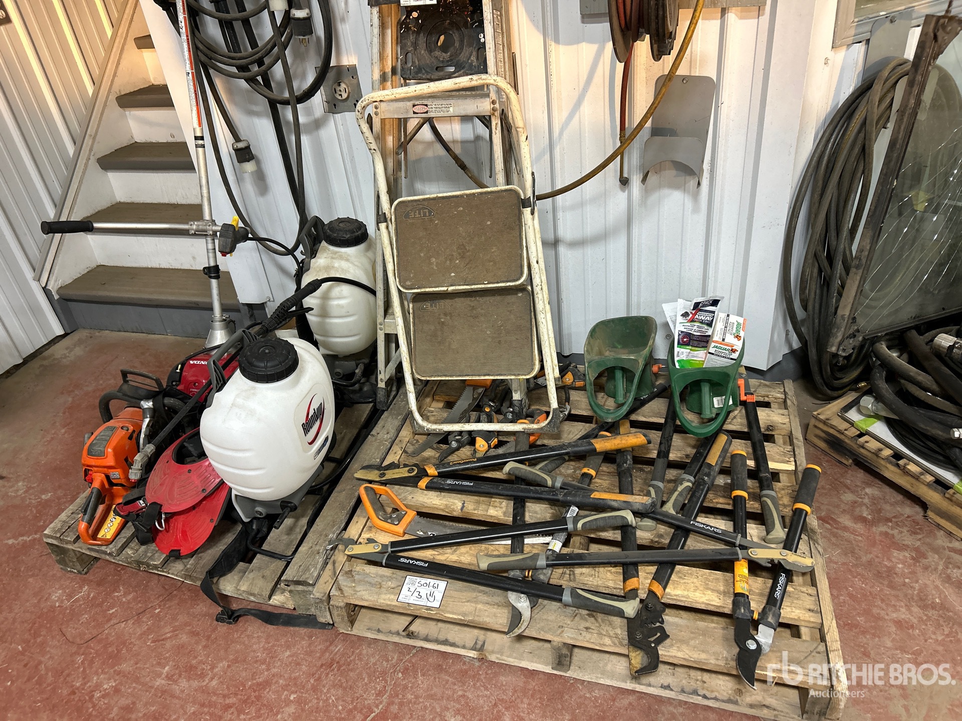 General Appearance with 