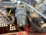 Moteur with 