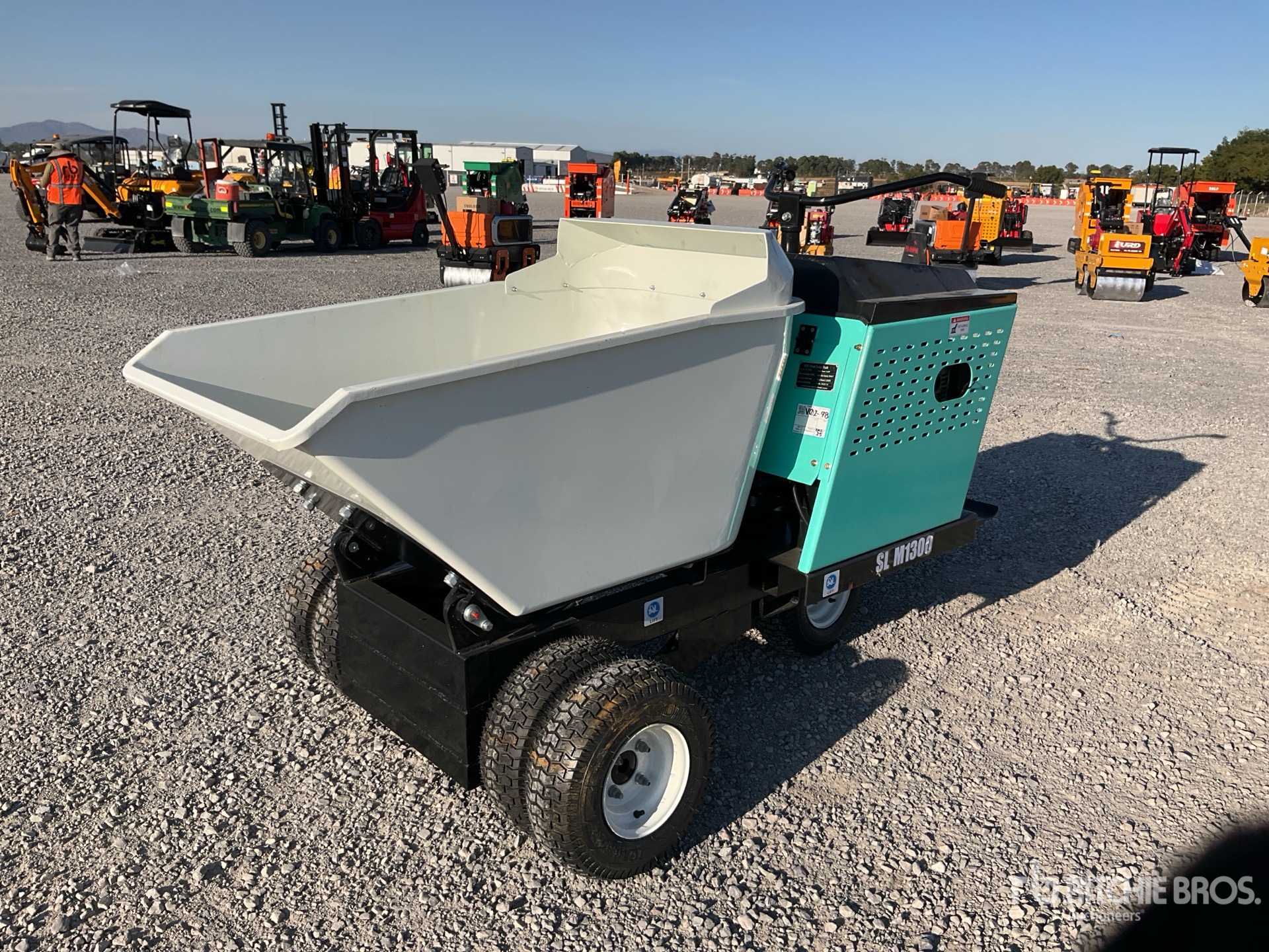 General Appearance with Picture, Left Front Corner