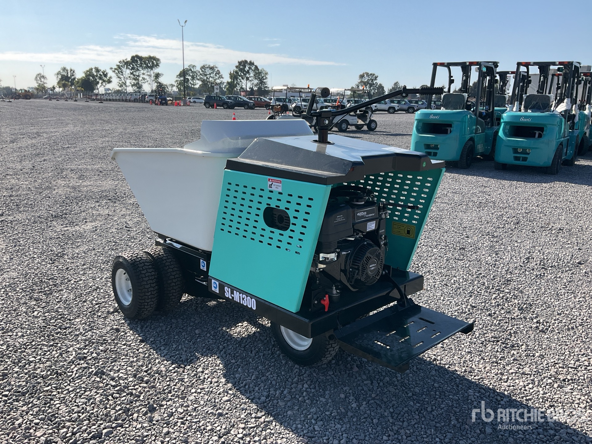 General Appearance with Picture, Left Rear Corner