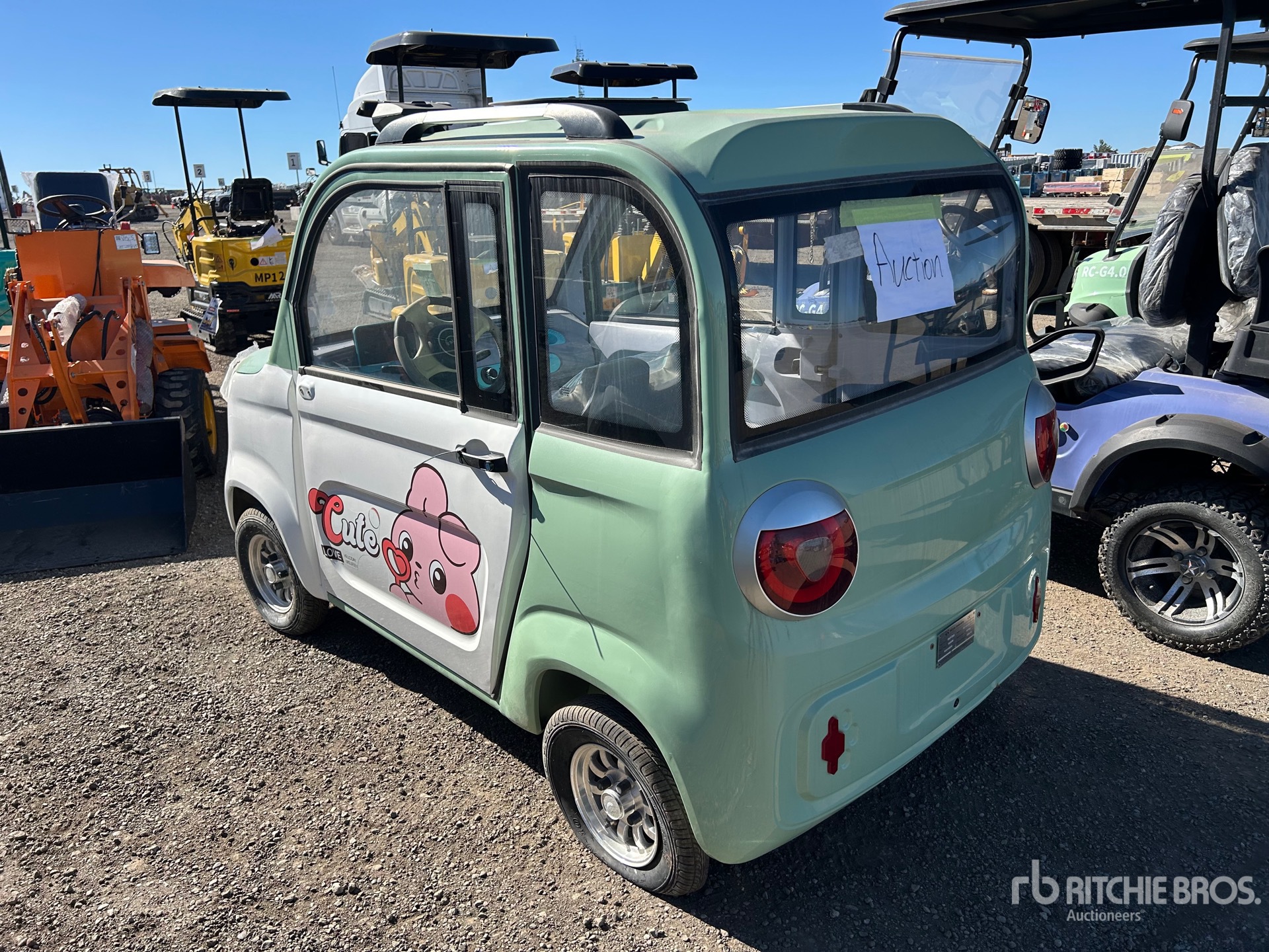 General Appearance with Picture, Left Rear Corner
