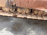 Undercarriage with 