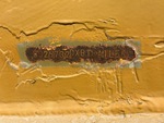 General Appearance with Numero seriale/numero d’identificazione del veicolo (VIN)