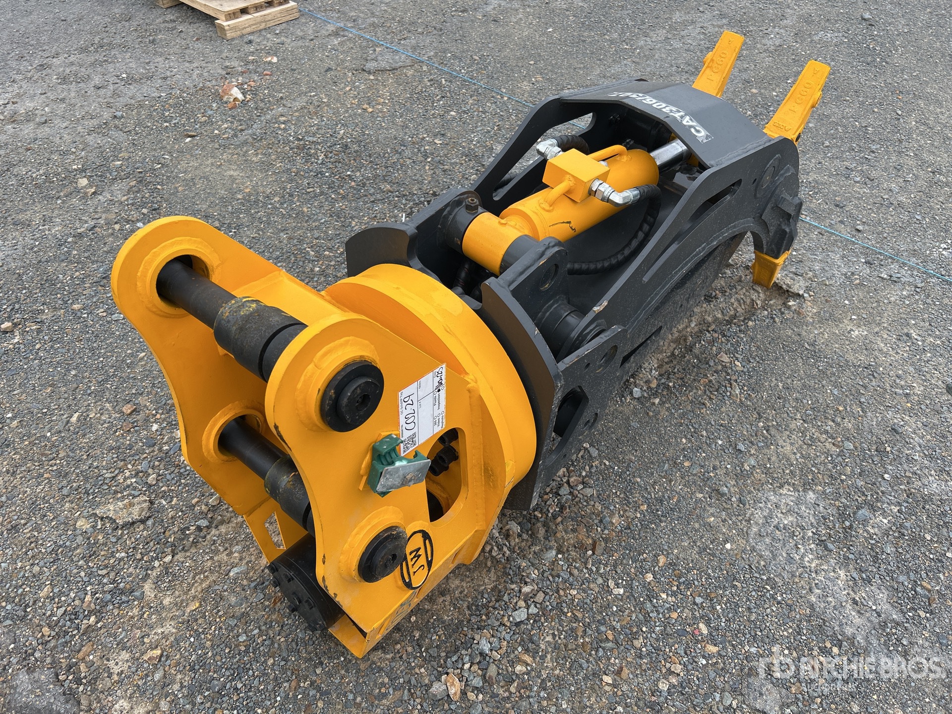 General Appearance with Zdjęcie, prawy dolny róg