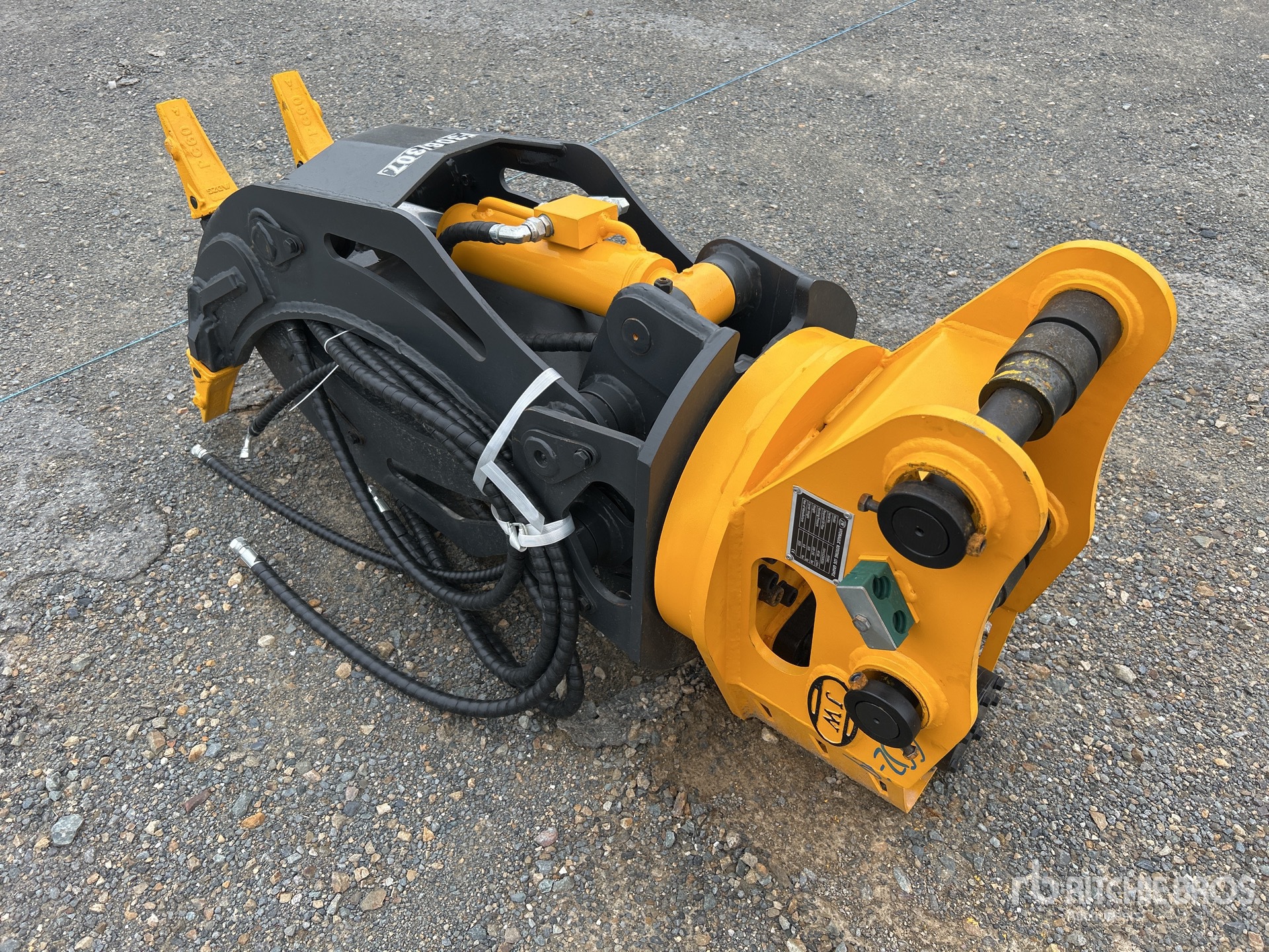 General Appearance with Zdjęcie, lewy dolny róg