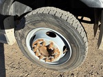 Underbody with 