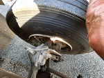 Brakes with 