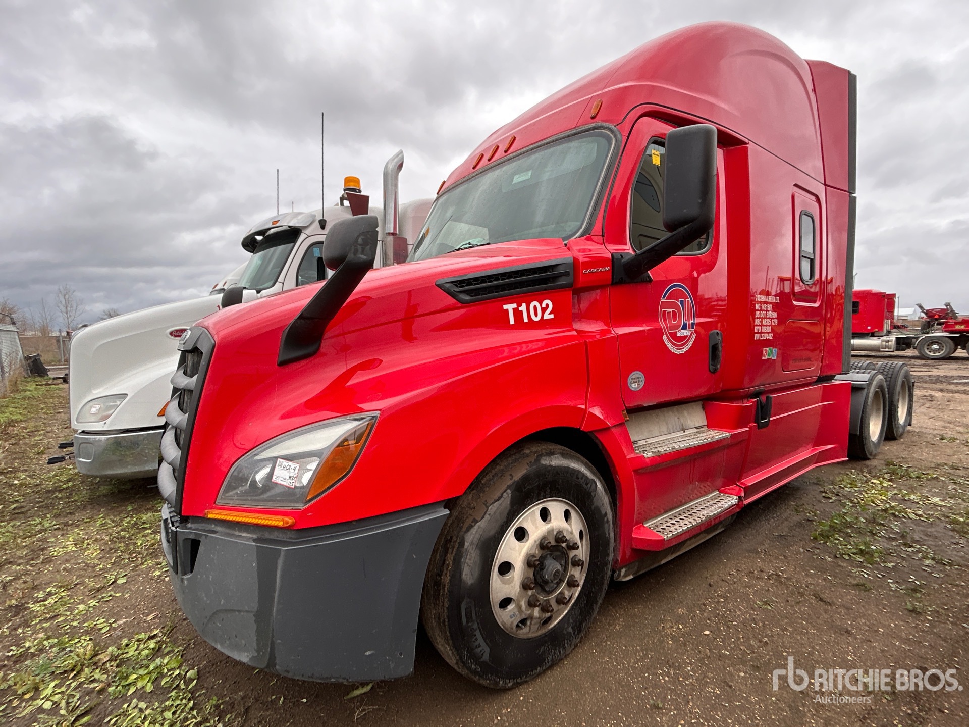 General Appearance with Bild, Ecke vorne links