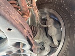 Brakes with 