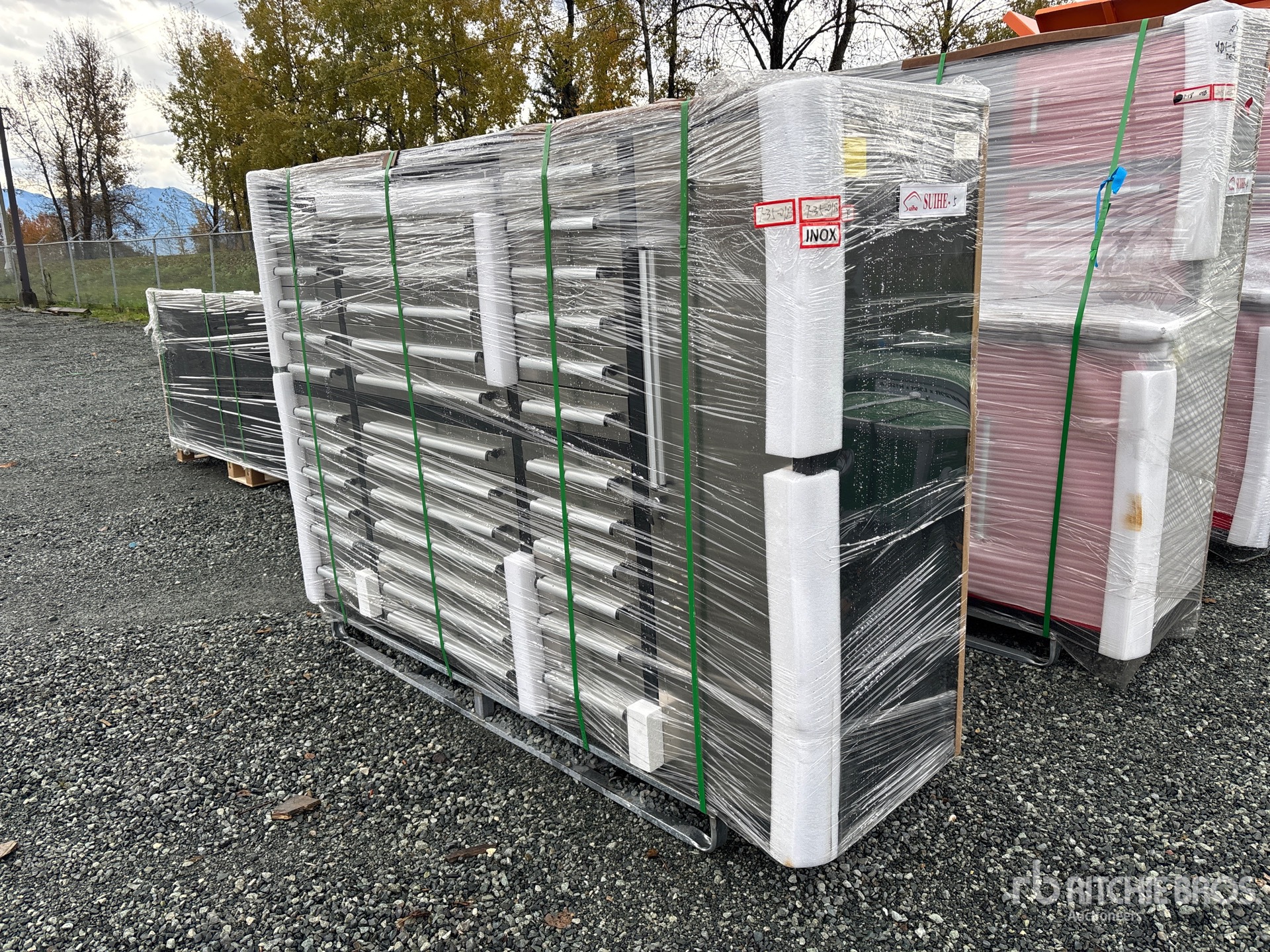 General Appearance with Picture, Left Front Corner