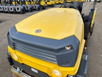 General Appearance with Paint