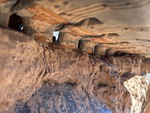 Undercarriage with 