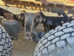 Underbody with 