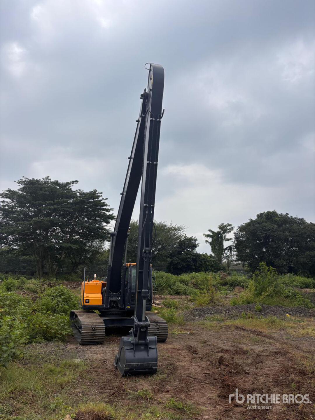 Find it in Yard with 