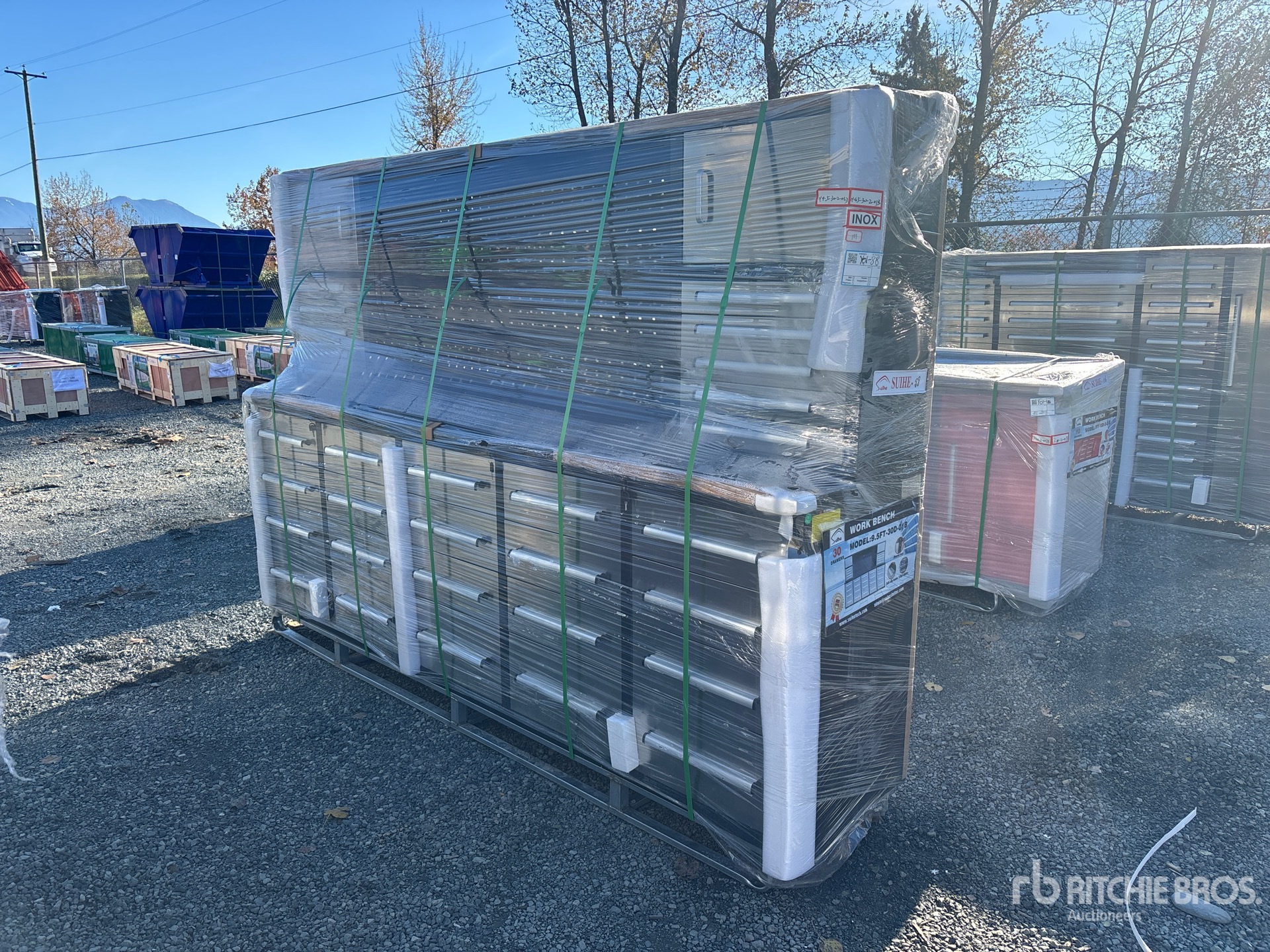 General Appearance with Zdjęcie, lewy górny róg