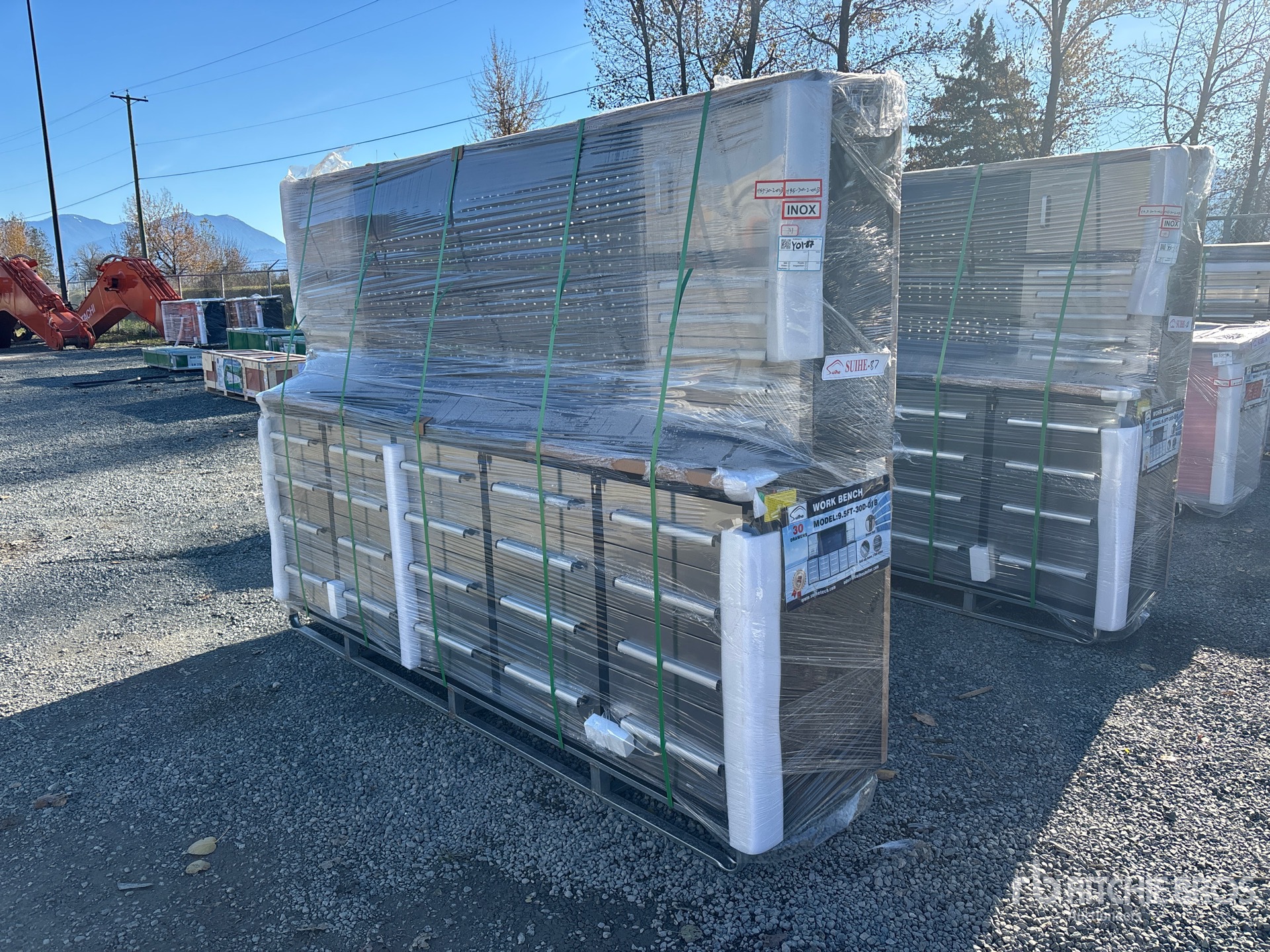 General Appearance with Zdjęcie, lewy górny róg