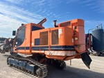 General Appearance with Paint