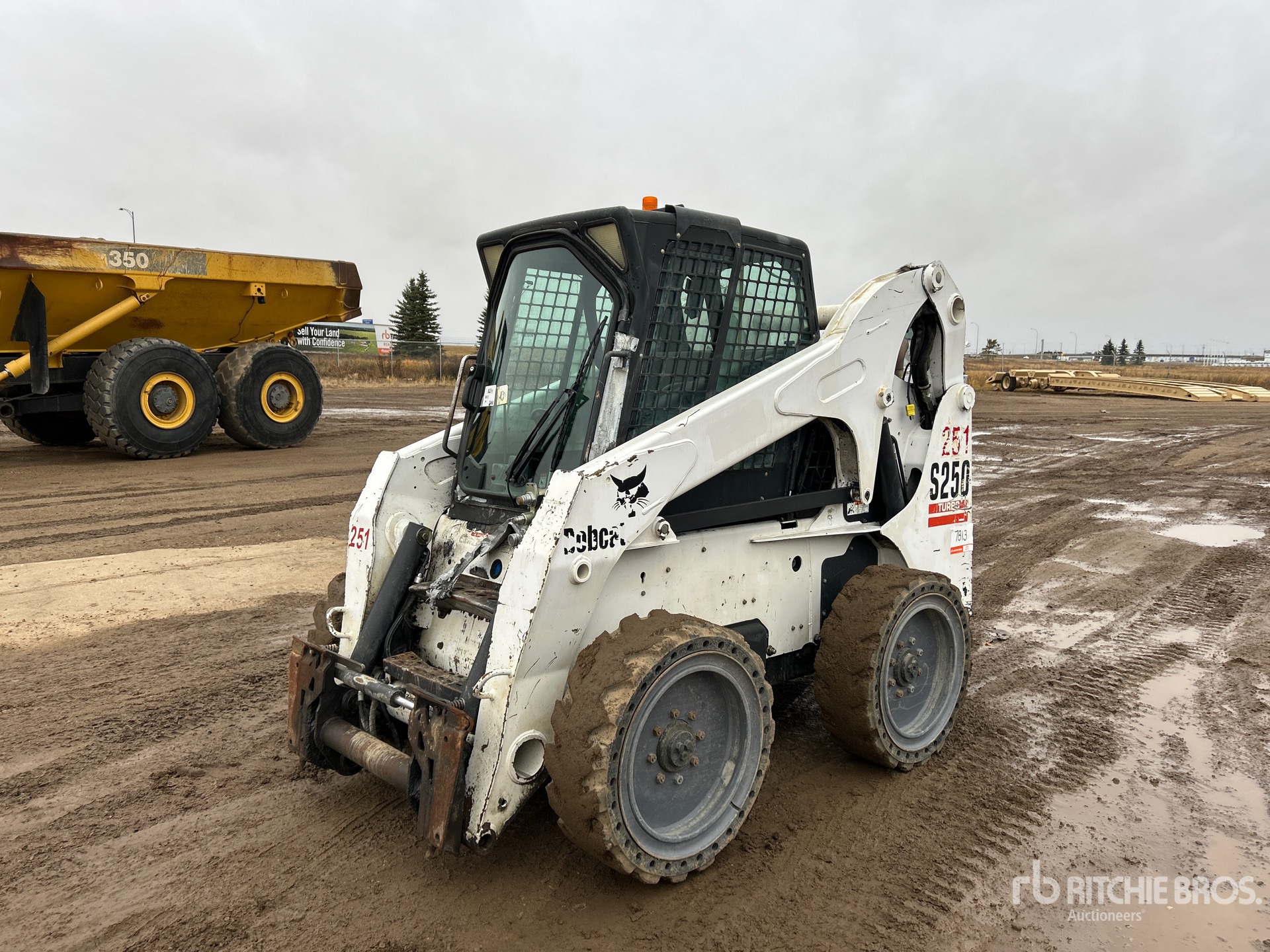 General Appearance with Spin