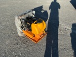 General Appearance with Featured Photo