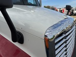 General Appearance with Pintura