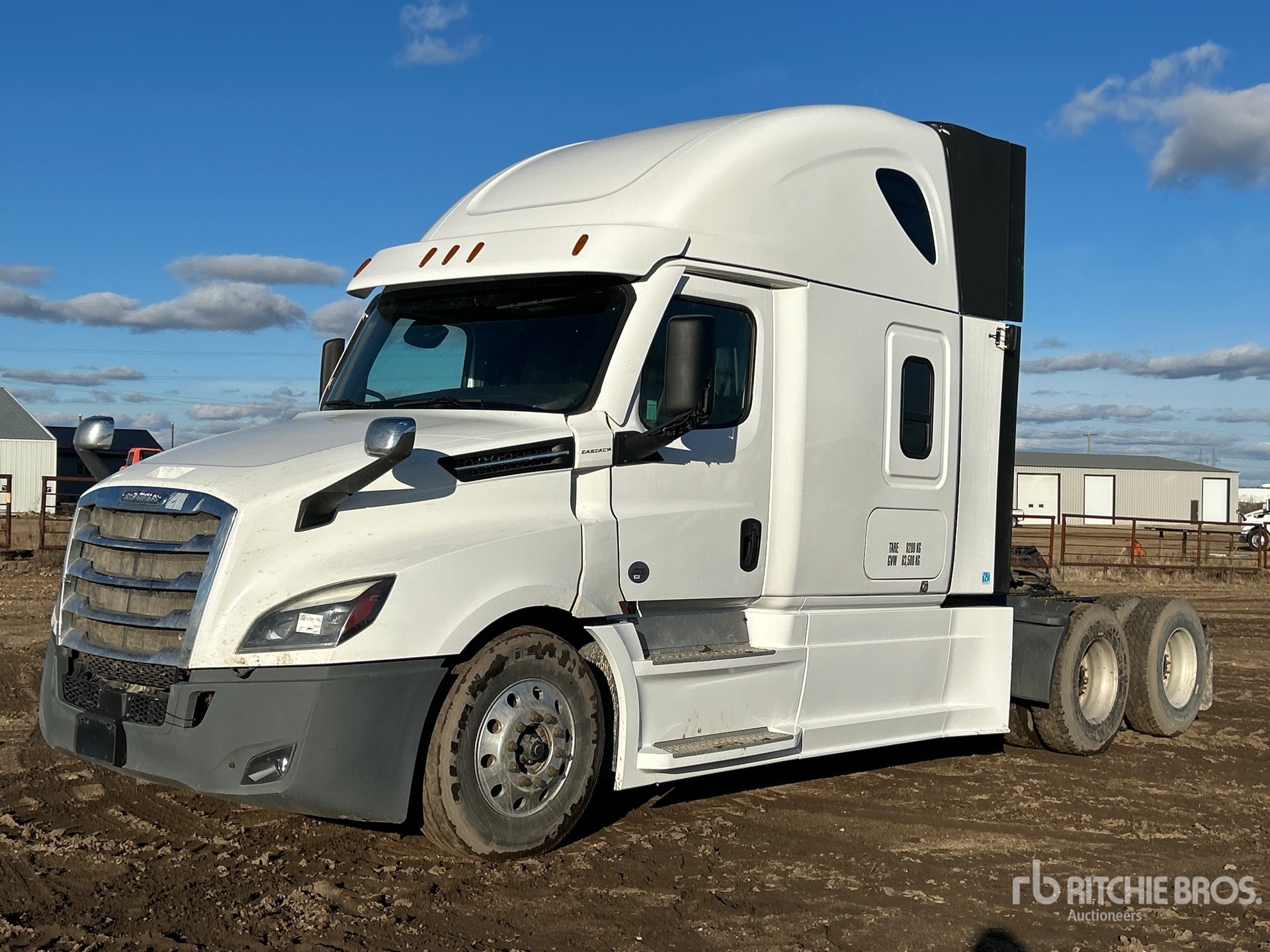 General Appearance with Spin