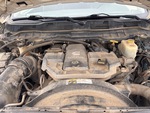Motore with 
