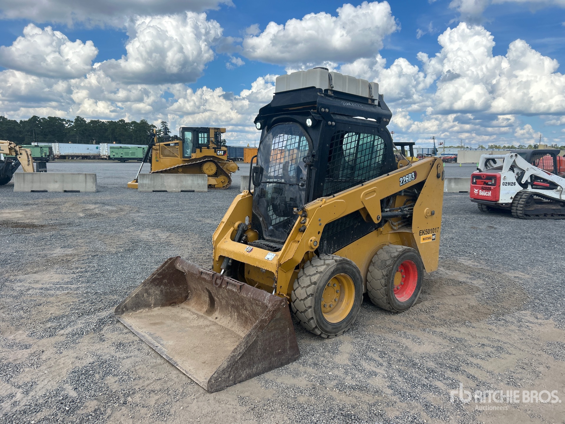 General Appearance with Spin