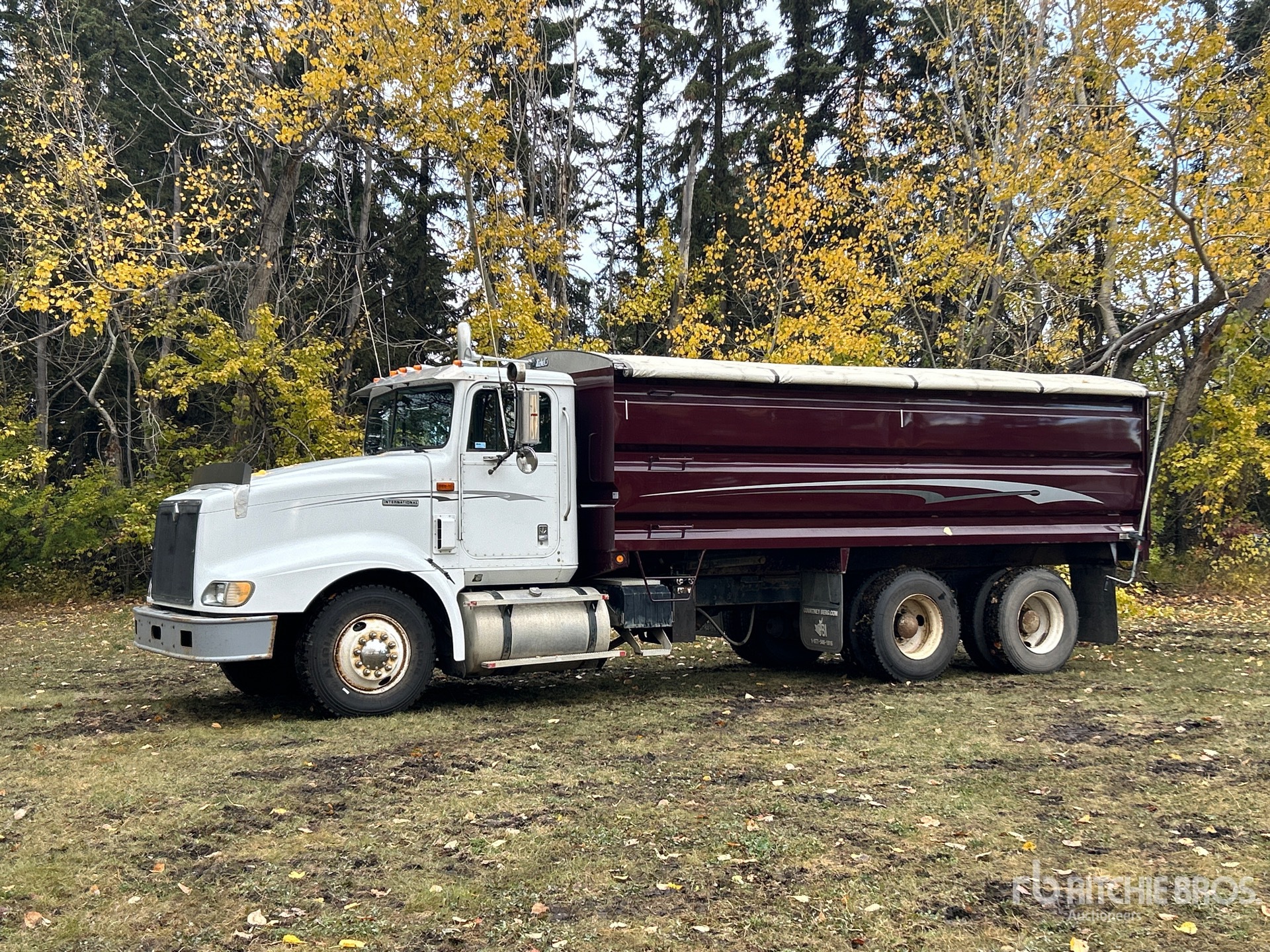 General Appearance with Spin