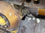 Undercarriage with 
