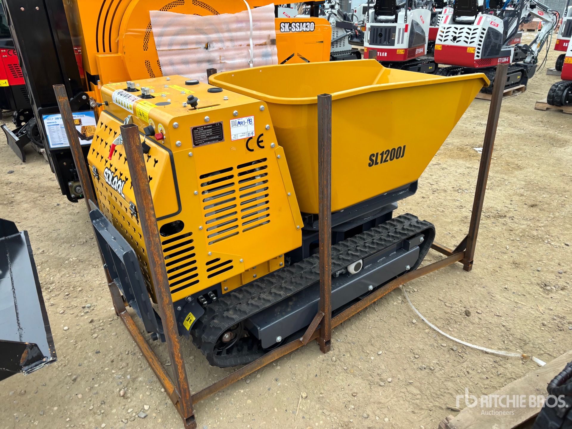 General Appearance with Image, coin arrière droit