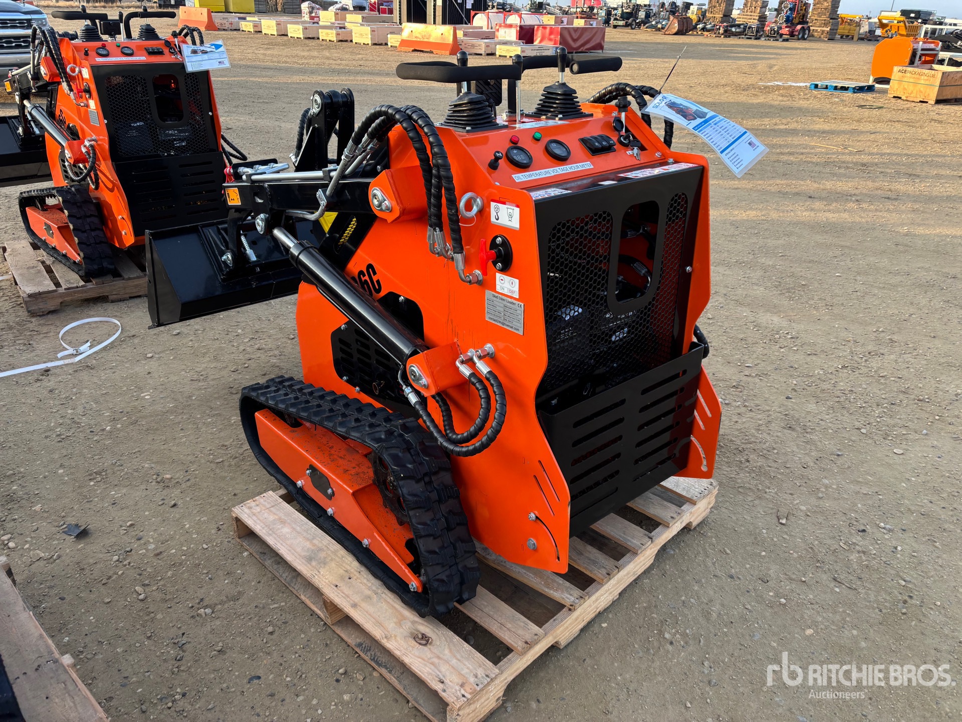 General Appearance with Zdjęcie, lewy dolny róg