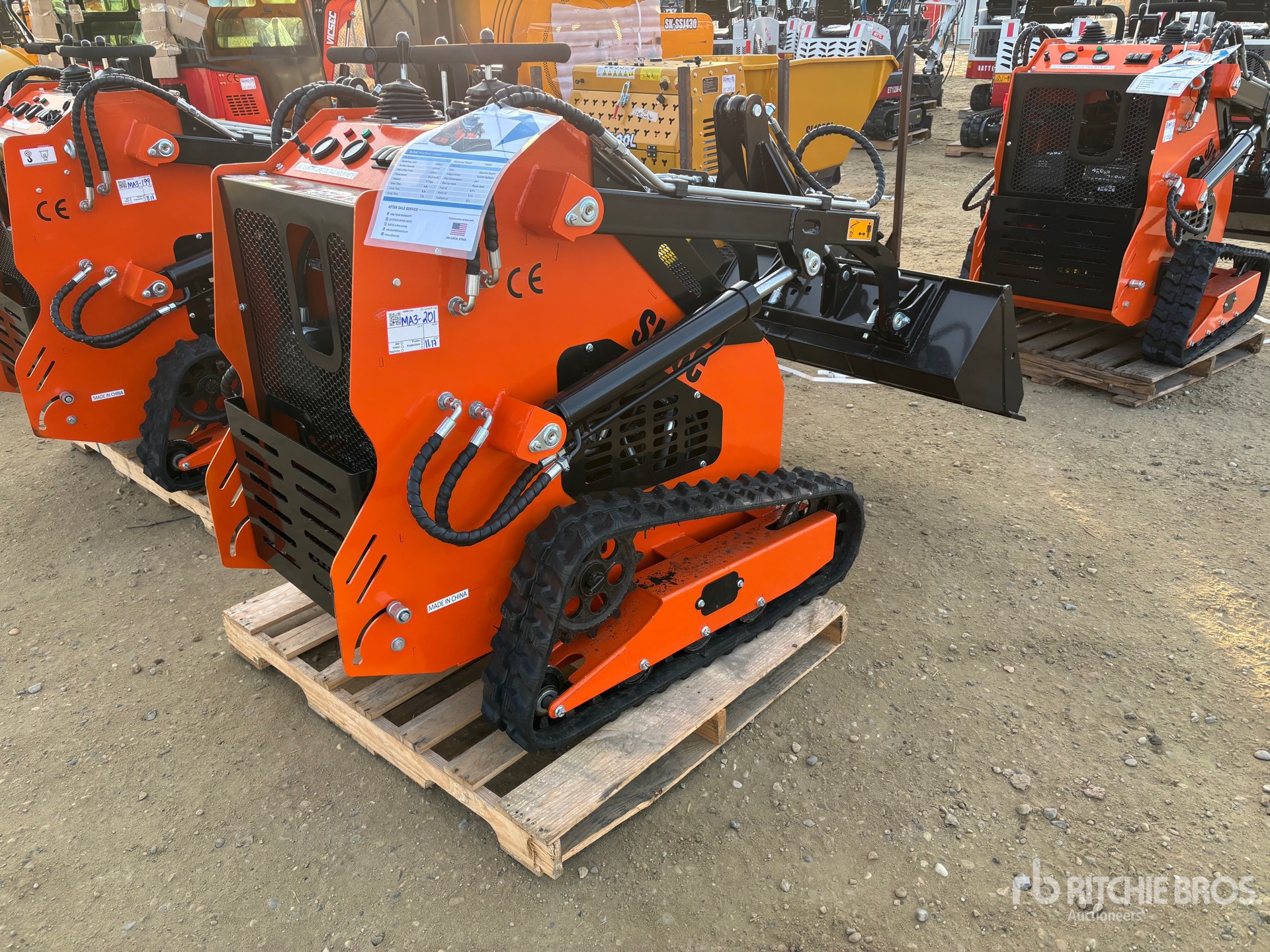 General Appearance with Zdjęcie, prawy dolny róg