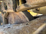Undercarriage with 