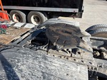 4 Underbody - Truck with 