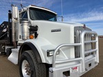 General Appearance with Paint