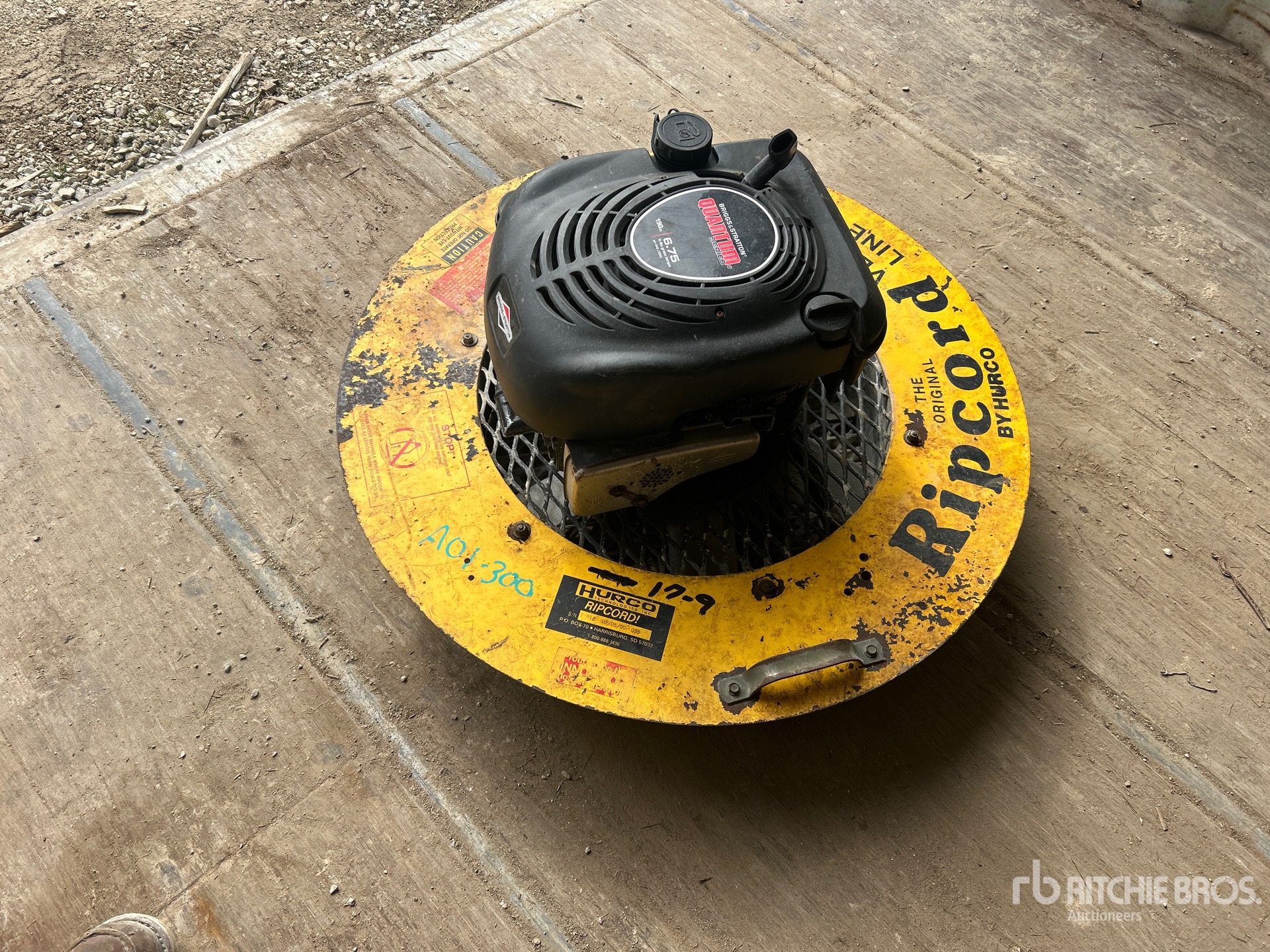 General Appearance with Zdjęcie, lewy dolny róg