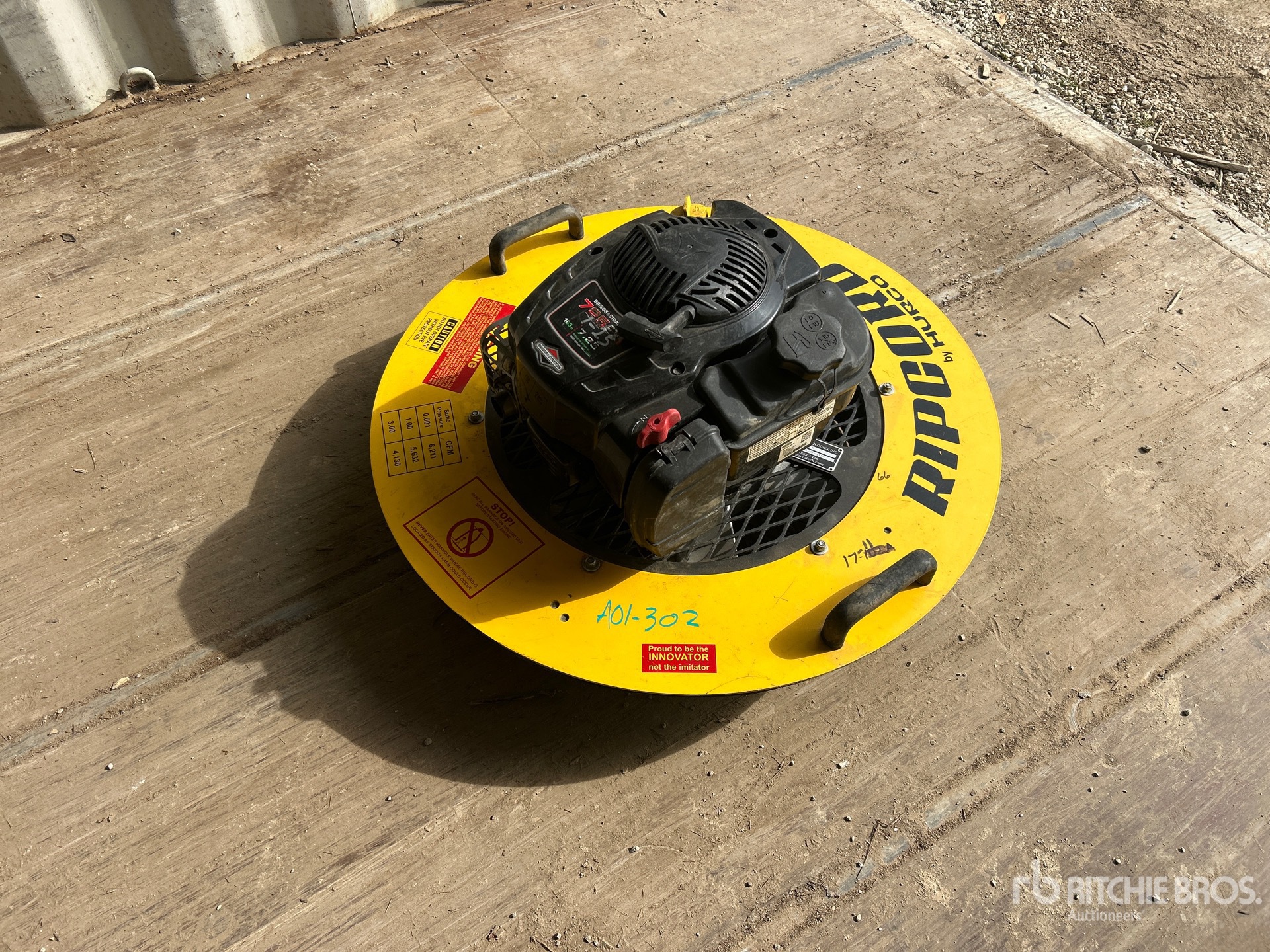 General Appearance with Zdjęcie, prawy górny róg