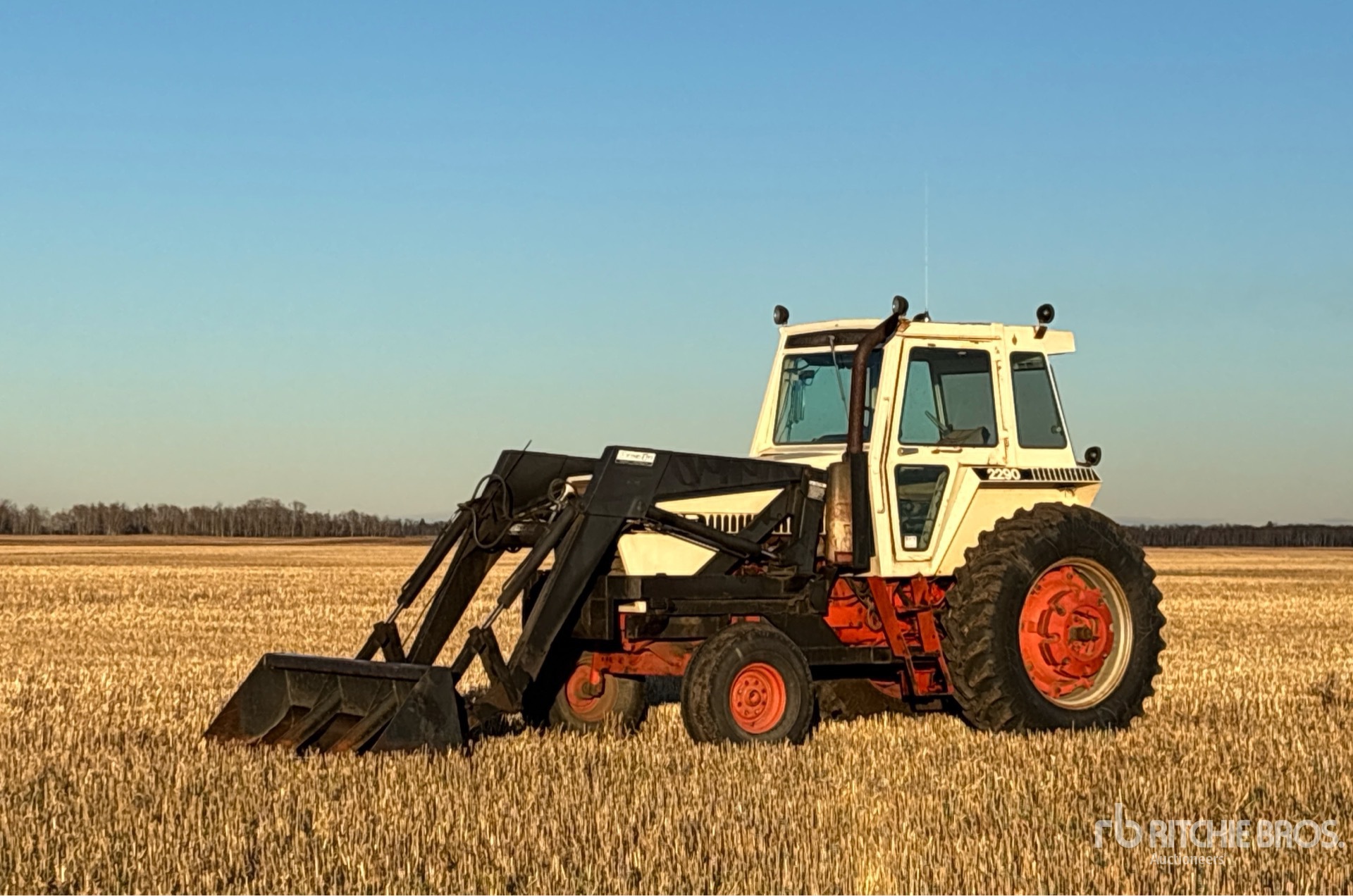 General Appearance with Featured Photo