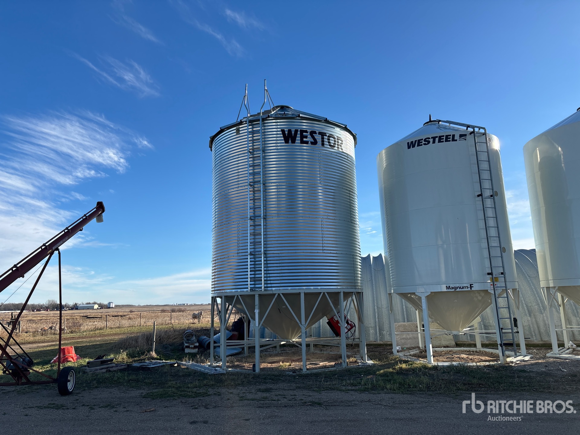 General Appearance with Image, coin avant gauche