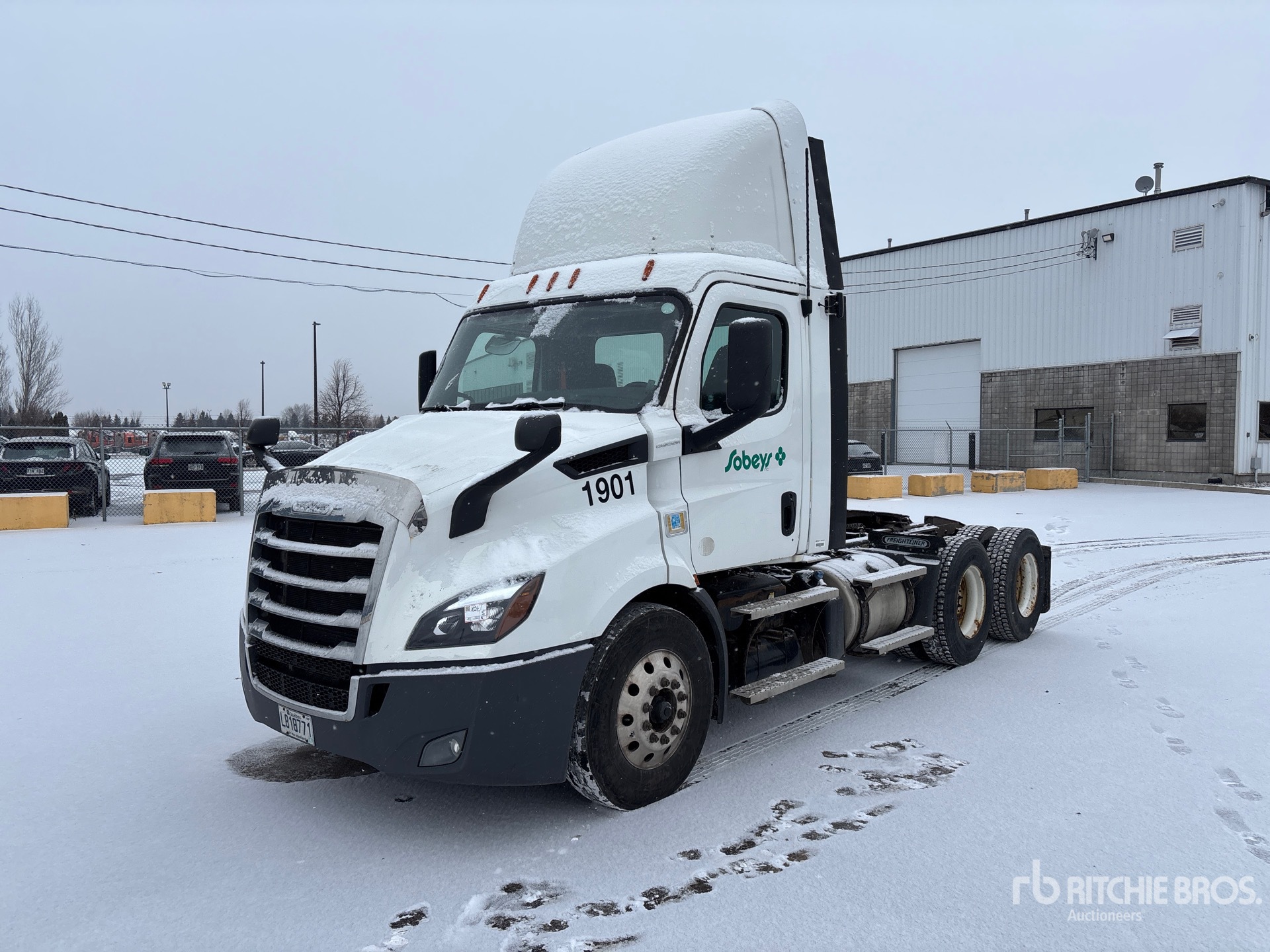 General Appearance with Spin