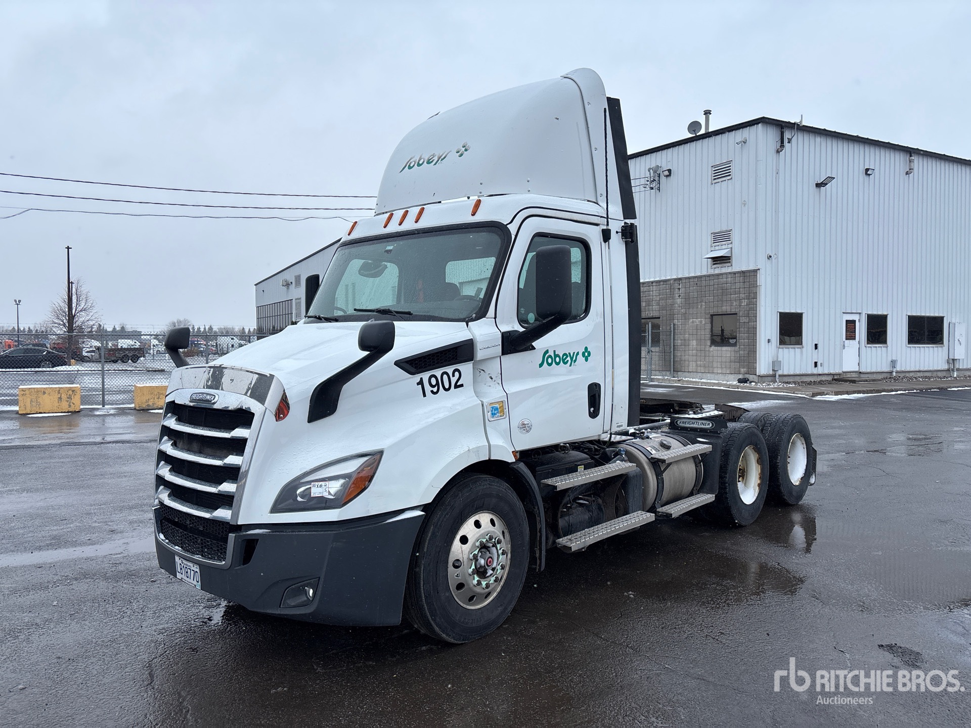 General Appearance with Spin