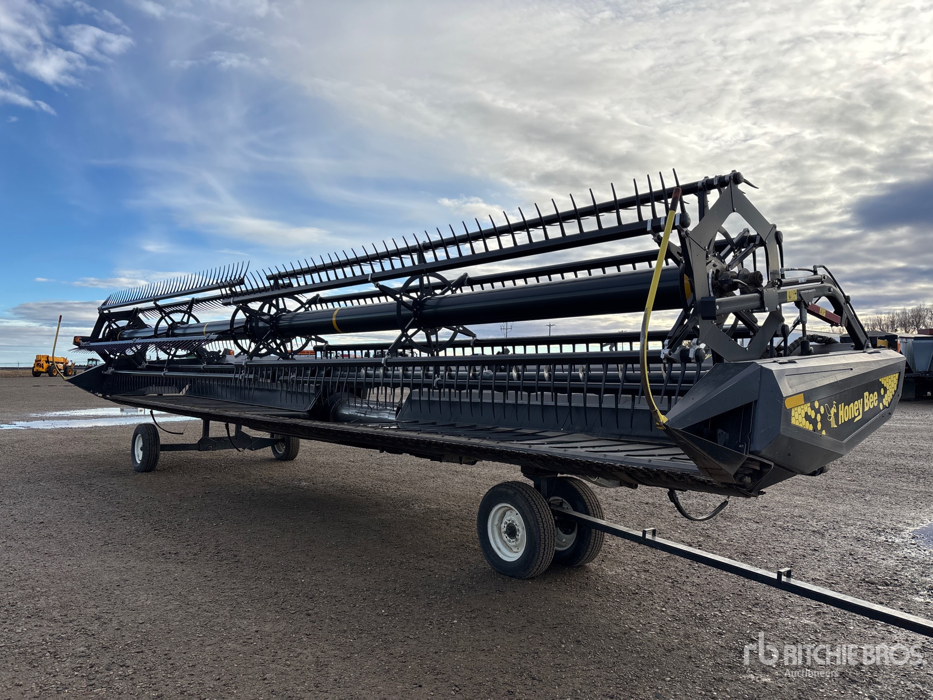 General Appearance with Zdjęcie, lewy górny róg