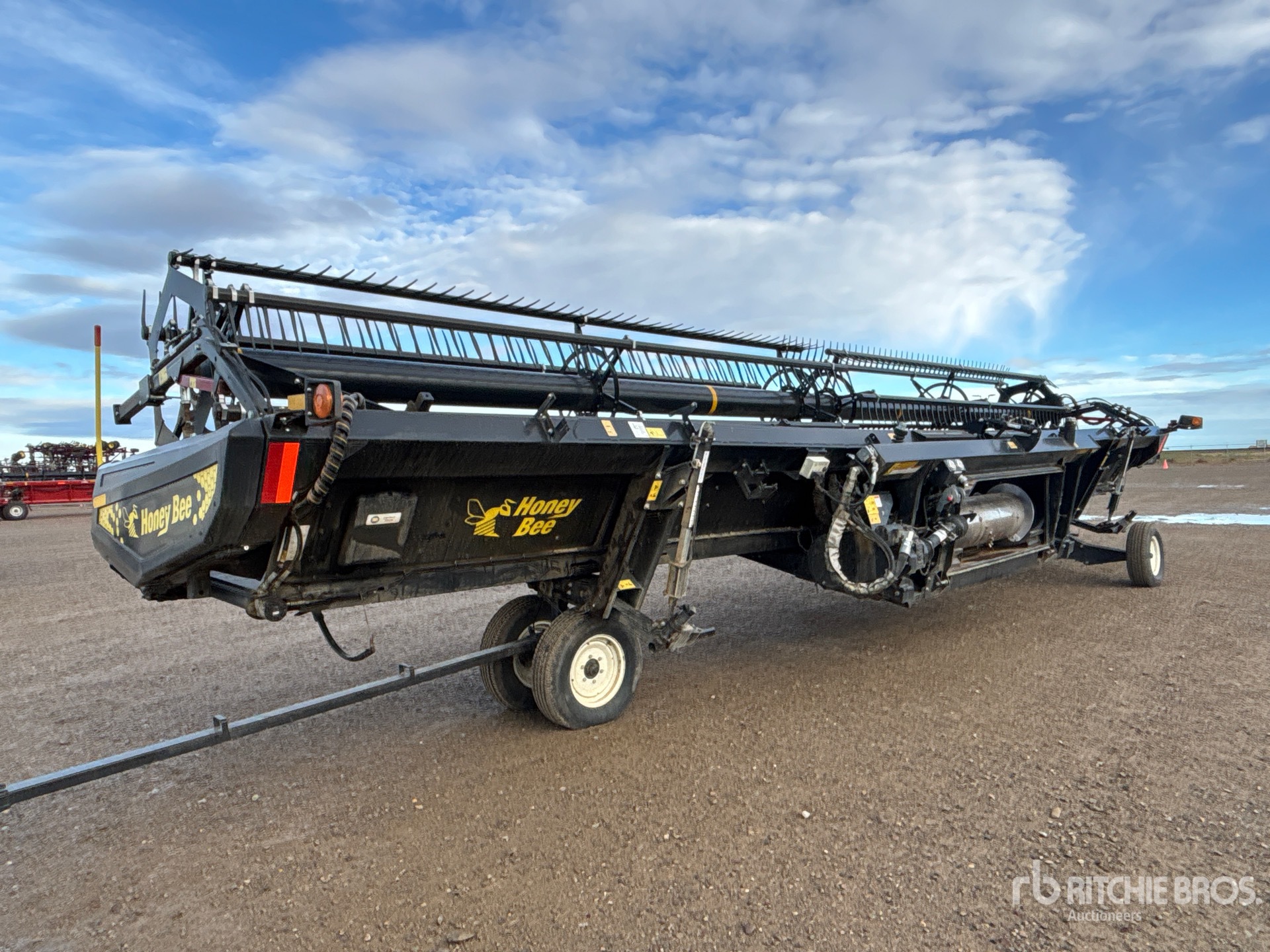 General Appearance with Zdjęcie, lewy dolny róg